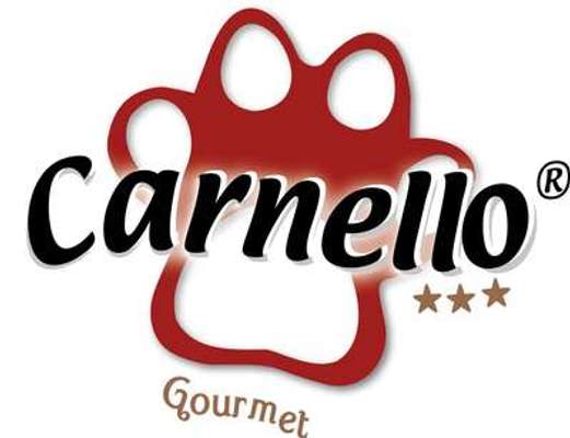 tests-Carnello-Bild