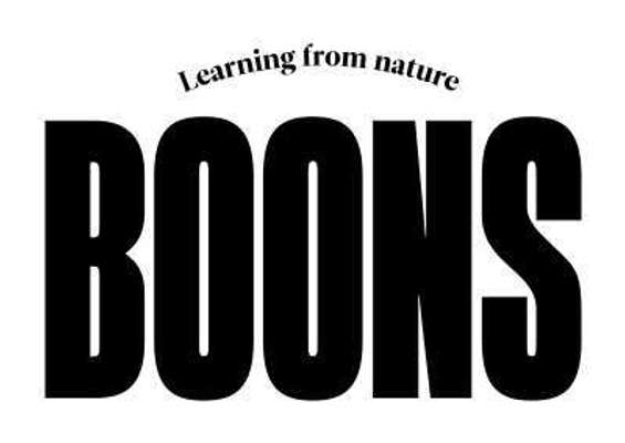 tests-BOONS-Bild