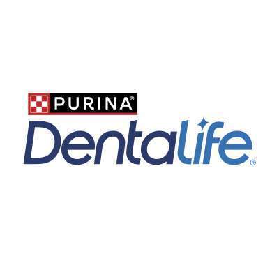tests-Dentalife-Bild