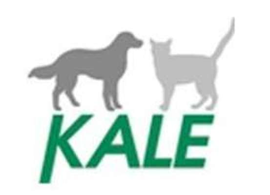 tests-KALE-Bild