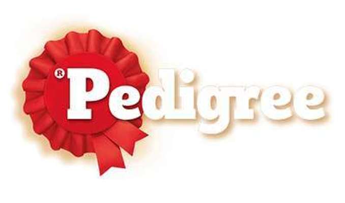 tests-Pedigree-Bild