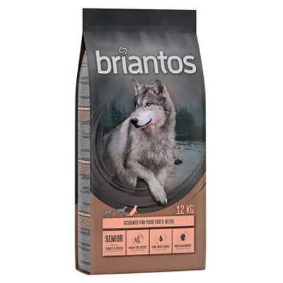 tests-Briantos Senior Pute-Bild