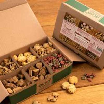 tests-alsa nature Festtags-Selection-Bild
