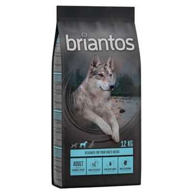 tests-Briantos Adult Lachs-Bild