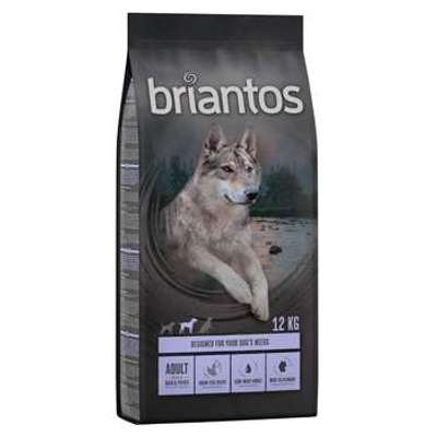 tests-Briantos Adult Ente-Bild