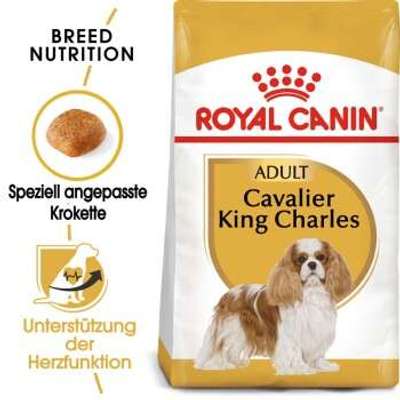 tests-Royal Canin Cavalier King Charles Adult-Bild