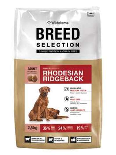 tests-Wildsterne Breed Selection Rhodesian Ridgeback-Bild