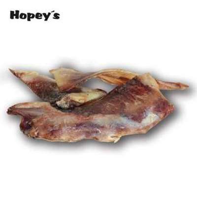 tests-Hopey's Bullen - Knorpelblatt-Bild
