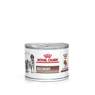 tests-Royal Canin Veterinary Canine Recovery Mousse-Bild