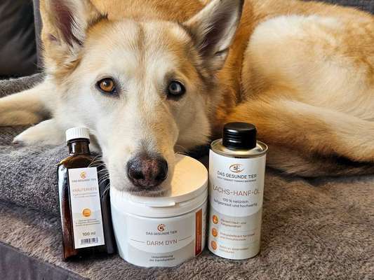tests-Darmkur für Hunde im Test: Unsere Erfahrung mit der DARM-KUR von Das Gesunde Tier-Bild