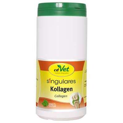 tests-cdVet Singulares Kollagen-Bild