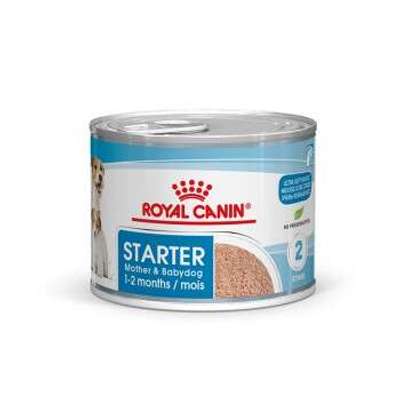 tests-Royal Canin Starter Mousse-Bild