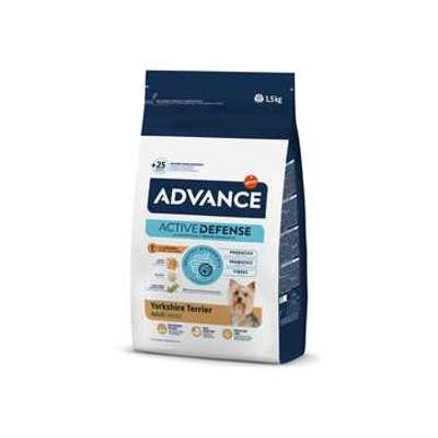 tests-Advance Yorkshire Terrier Adult-Bild