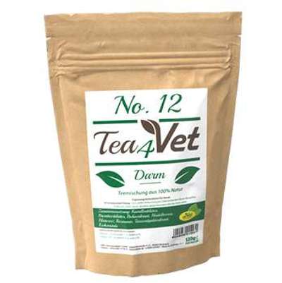 tests-cdVet Tea4Vet No.12-Darm-Bild