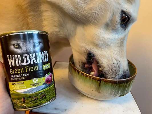 tests-Wie gut ist das Nassfutter Green Field Lamm von WILDKIND | inklusive tierärztlicher Einschätzung und Bewertungen-Bild