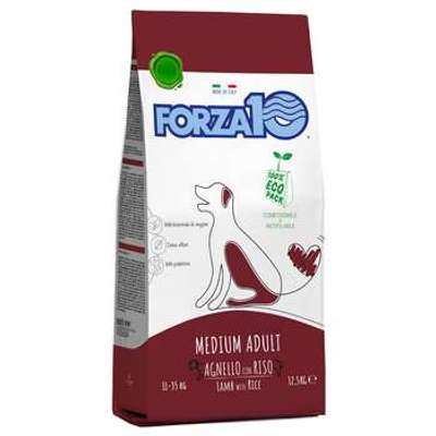 tests-Forza10 Medium Maintenance Lamm & Reis-Bild
