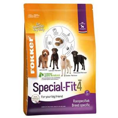 tests-Fokker Dog Special-Fit-Bild