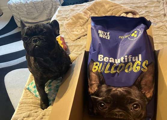 tests-Dogorama Testbericht: HEY HOLY Beautiful Bulldogs - Bewertung von Tierärztin und echten Hundeeltern-Bild