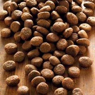 tests-alsa nature Sensigon Ente & Kartoffel getreidefrei-Bild