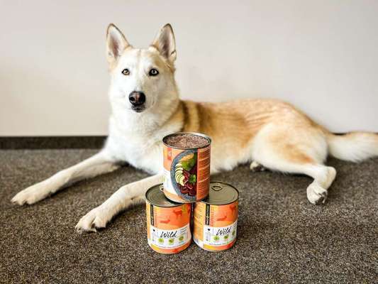 tests-Im Dogorama Test: FAVLY Petfood Nassfutter Wild mit Amaranth, Brokkoli & Leinöl - Erfahrungen, Tierarzt-Meinung & Community Bewertungen-Bild