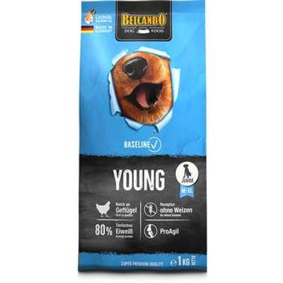 tests-BELCANDO Baseline Young-Bild