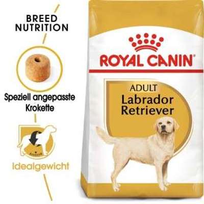tests-Royal Canin Labrador Retriever Adult-Bild