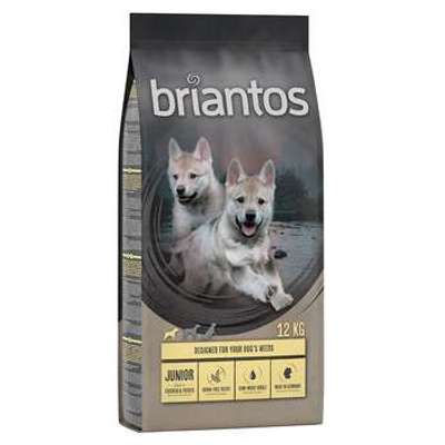 tests-Briantos Junior Huhn-Bild