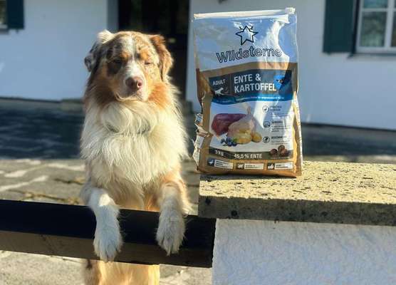 tests-Hoher Fleischanteil, Single-Protein & getreidefrei: Dogorama testet Wildsterne Ente & Kartoffel Adult Premium-Trockenfutter für Hunde-Bild