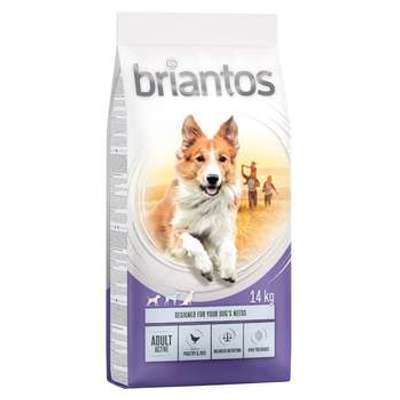 tests-Briantos Adult Active-Bild