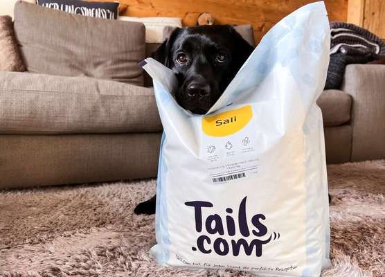 tests-Wie gut ist das individuelle Trockenfutter von Tails.com? | Dogorama Test und Bewertungen 2024 -Bild