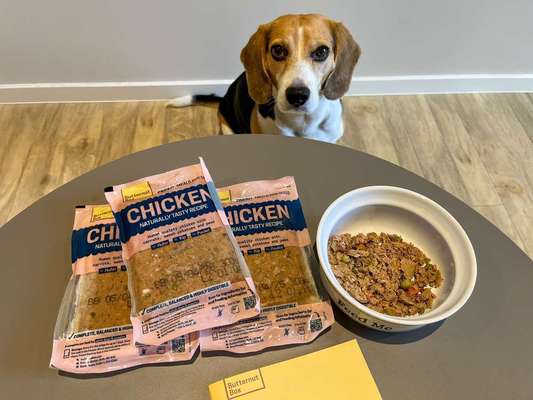 tests-Frisch gekochtes Hundefutter im Check: So schneidet Butternut Box Huhn bei der Community & Tierärztin ab-Bild