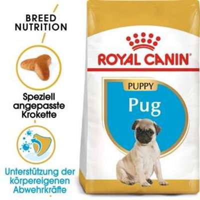 tests-Royal Canin Mops Puppy-Bild