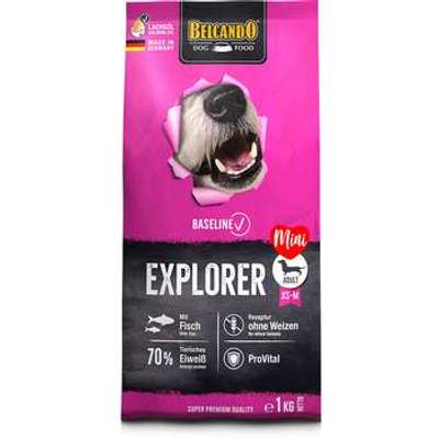 tests-BELCANDO Baseline Explorer-Bild