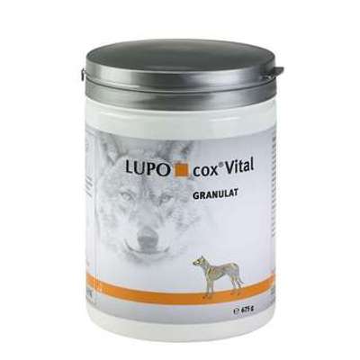 tests-LUPOSAN Cox Vital-Bild