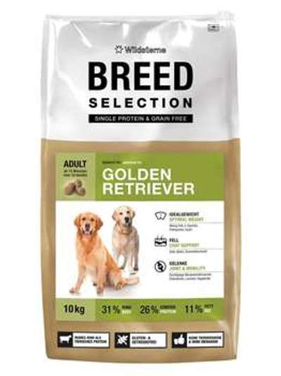 tests-Wildsterne Breed Selection Golden Retriever-Bild