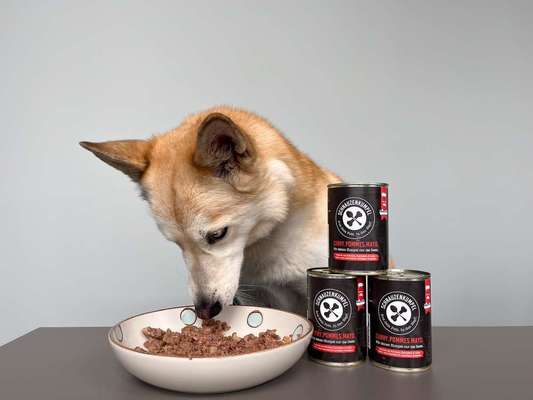tests-Überzeugt das Nassfutter Curry.Pommes.Mayo. von Schnauzenkumpel im Dogorama Test | inkl. Tierarztmeinung und Community-Feedback-Bild