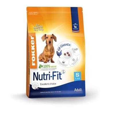 tests-Fokker Adult Small Nutri-Fit-Bild