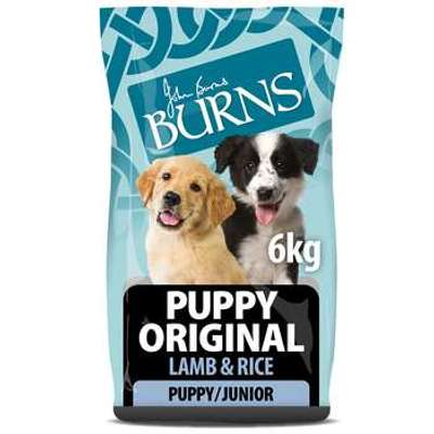 tests-Burns Puppy Original - Lamm & Reis-Bild