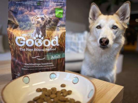 tests-Insektenfutter für Hunde - Goood Trockenfutter Nachhaltige Insekten im Test | inklusive Tierarztmeinung und Community Feedback-Bild