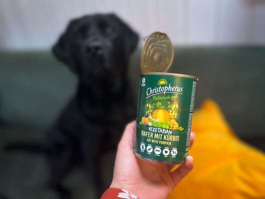 tests-Christopherus Nassfutter Vegetarian im Dogorama Test 2024-Bild