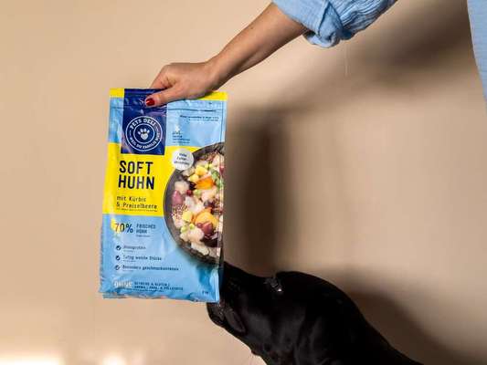 tests-Ist das „Soft“ Futter von Pets Deli ein gutes Trockenfutter?-Bild