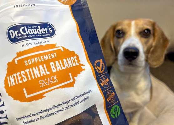 tests-Wie gut ist der Supplement Snack Intestinal Balance von Dr.Clauder‘s? | Magen und Darmprobleme beim Hund-Bild