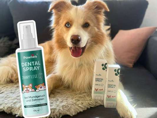 tests-Pawlie’s Dentalspray im Dogorama Test: Sanfte Zahnpflege für Hunde als Alternative zum Zähneputzen?-Bild