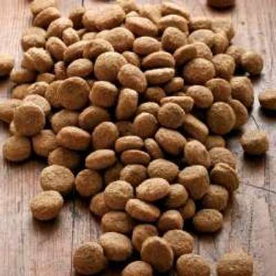 tests-alsa nature Big-Junior Medial Protein-Bild