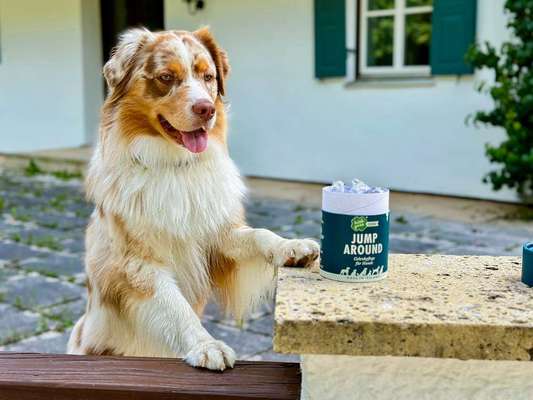 tests-Dogorama Erfahrungen und Test von Irish Pure Jump Around Nahrungsergänzungsmittel Snacks-Bild