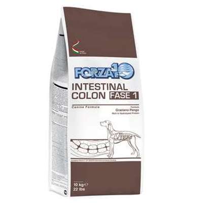 tests-Forza10 Active Line Intestinal Colon Phase 1-Bild