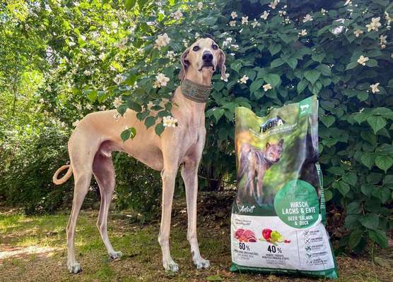 tests-Tundra Hirsch, Ente & Lachs im Test: Getreidefreies Hundefutter mit niedrigem glykämischem Index | Erfahrungen und Bewertungen-Bild
