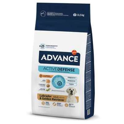 tests-Advance Labrador Retriever Adult-Bild