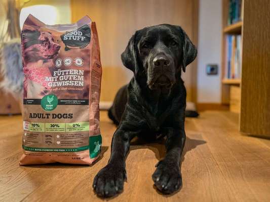 tests-THE GOODSTUFF Trockenfutter Huhn Adult im Dogorama Test 2024-Bild