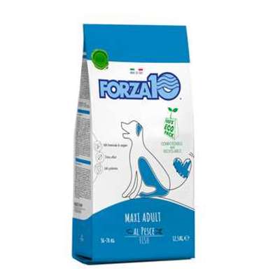 tests-Forza10 Maxi Maintenance mit Fisch-Bild